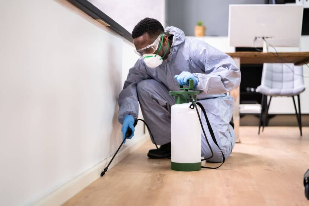 Q & A for Pest control Cape Town