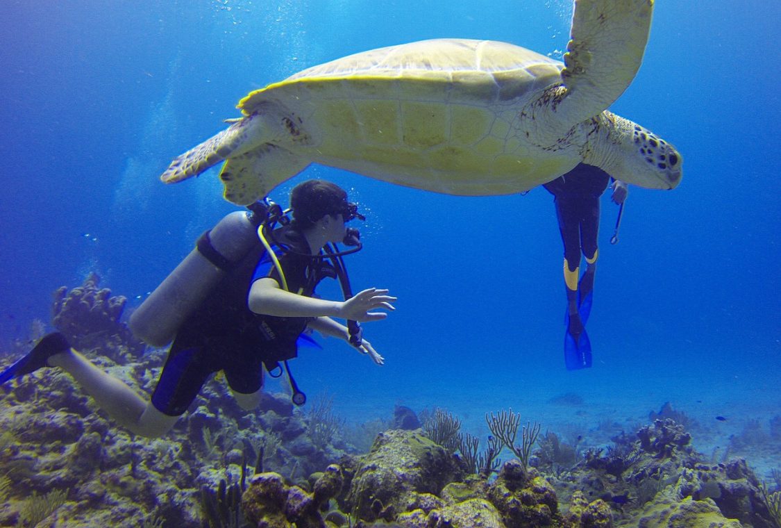 scuba travel, scuba holidays